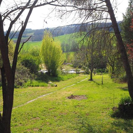 Gite Les Cabanes De Fallot Pour 15 Personnes - Piscine Naturelle L'isle-Bouzon Bagian luar foto