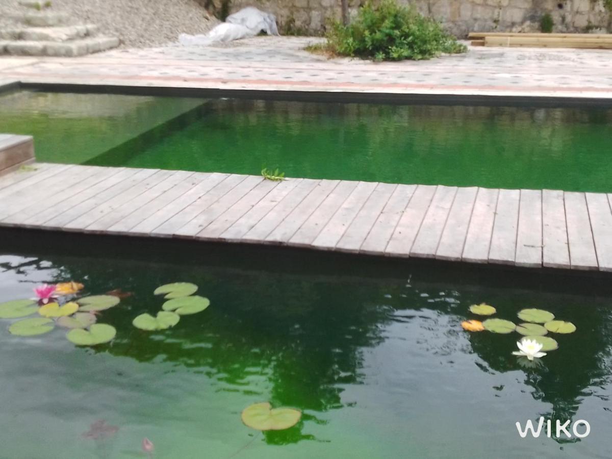 Gite Les Cabanes De Fallot Pour 15 Personnes - Piscine Naturelle L'isle-Bouzon Bagian luar foto