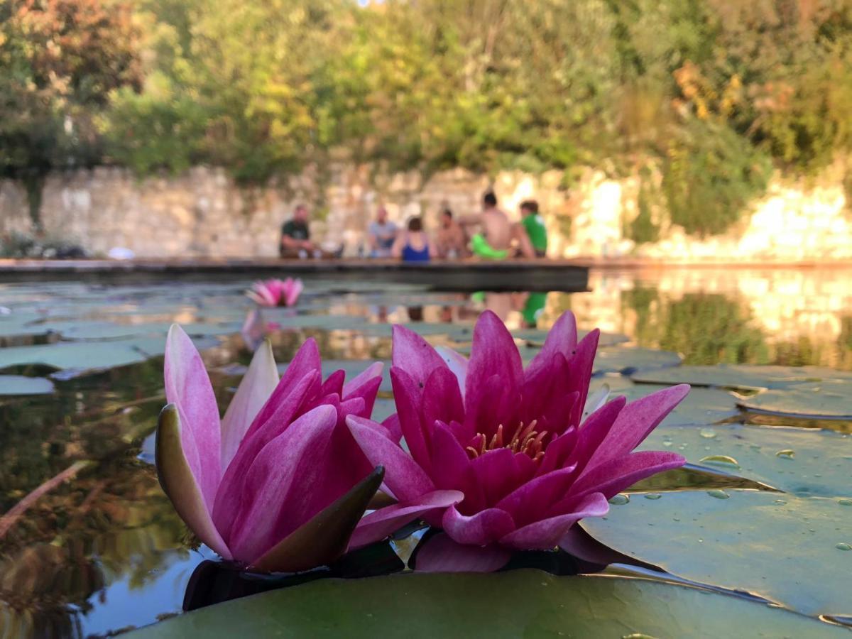 Gite Les Cabanes De Fallot Pour 15 Personnes - Piscine Naturelle L'isle-Bouzon Bagian luar foto