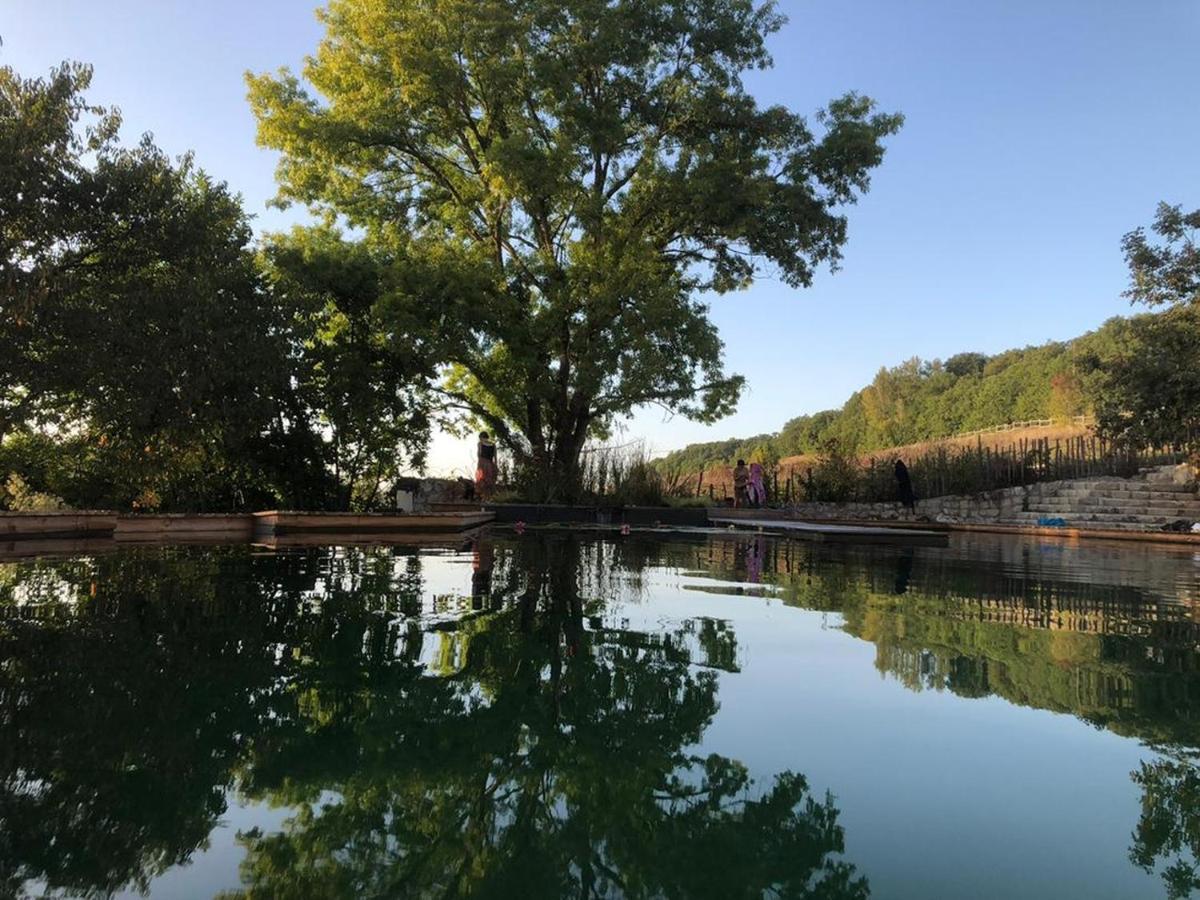 Gite Les Cabanes De Fallot Pour 15 Personnes - Piscine Naturelle L'isle-Bouzon Bagian luar foto
